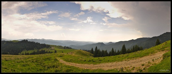 babele-si-sfinxul-00