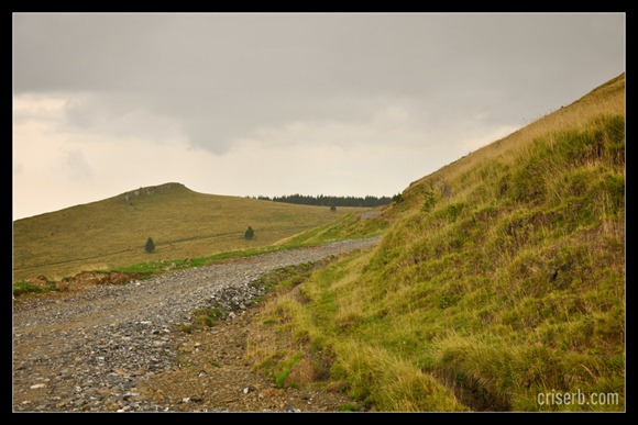 babele-si-sfinxul-04