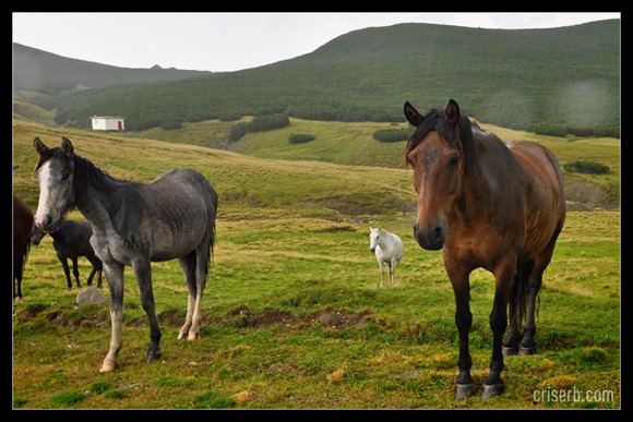 babele-si-sfinxul-06