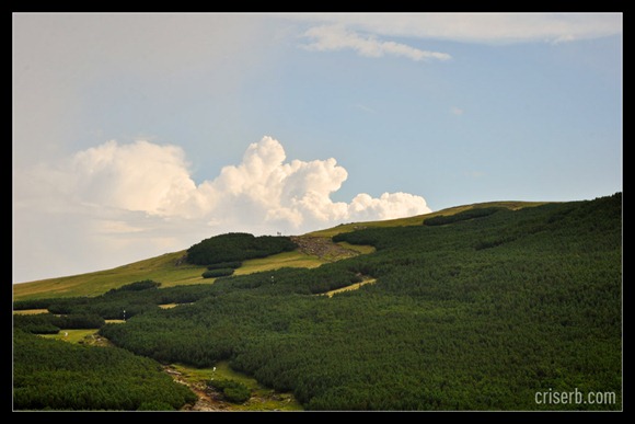 babele-si-sfinxul-07