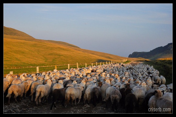 babele-si-sfinxul-29