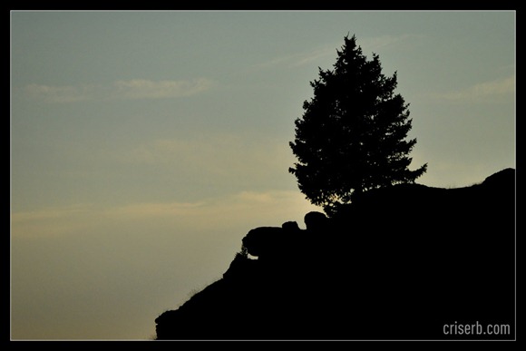 babele-si-sfinxul-30