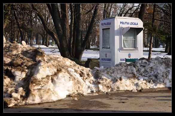 primavara2 primavara2