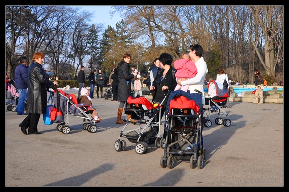 primavara3 primavara3