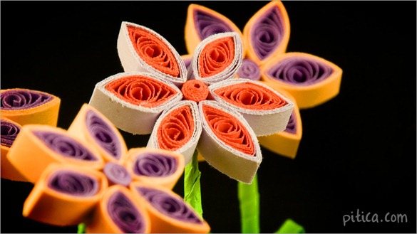 floricele04 floricele04