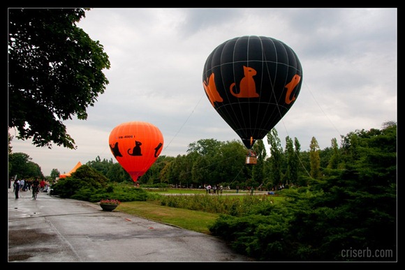 5saptamaniinbalon13[1]