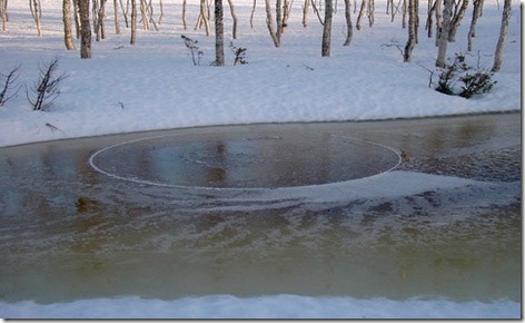 7minuni-ale-naturii5 7minuni-ale-naturii5