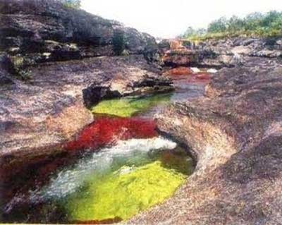 image001 image001