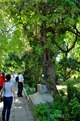 DSC_1207 DSC_1207