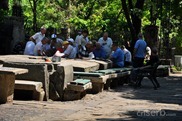 DSC_1210 DSC_1210