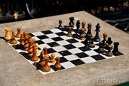DSC_1211 DSC_1211