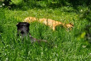 DSC_1212 DSC_1212