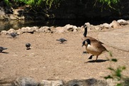DSC_1226 DSC_1226