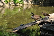 DSC_1228 DSC_1228