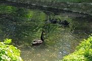 DSC_1230 DSC_1230