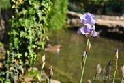 DSC_1234 DSC_1234