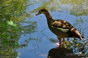 DSC_1235 DSC_1235