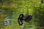 DSC_1238 DSC_1238