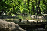 DSC_1244 DSC_1244