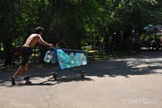 DSC_1260 DSC_1260