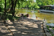 DSC_1261 DSC_1261