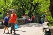 DSC_1271 DSC_1271
