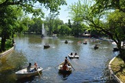 DSC_1272 DSC_1272