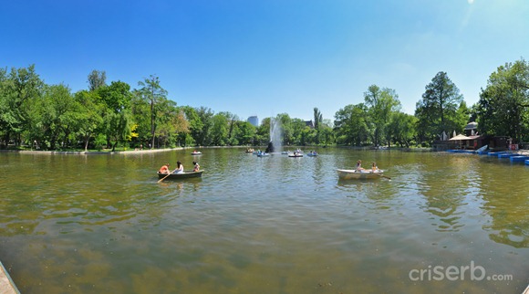 DSC_1275 DSC_1275