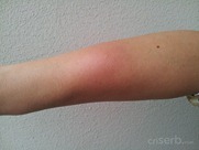 IMG_20120605_173129 IMG_20120605_173129