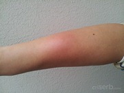 IMG_20120605_173131 IMG_20120605_173131