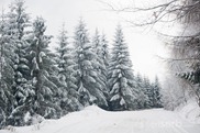 DSC_1501 DSC_1501