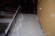 DSC_1600 DSC_1600