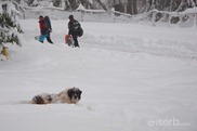 DSC_1614 DSC_1614