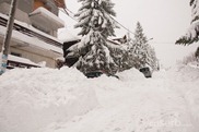 DSC_1619 DSC_1619