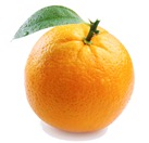 orange orange