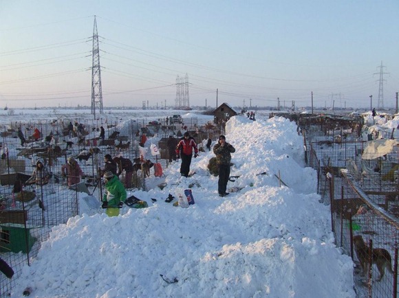 420895_2876396281553_1609361783_2567628_1402231102_n