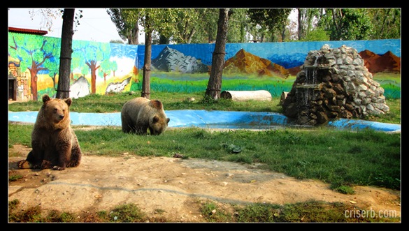 zoo_targoviste_21