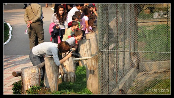 zoo_targoviste_33
