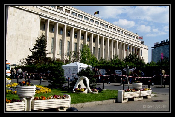 greva-la-guvern greva-la-guvern