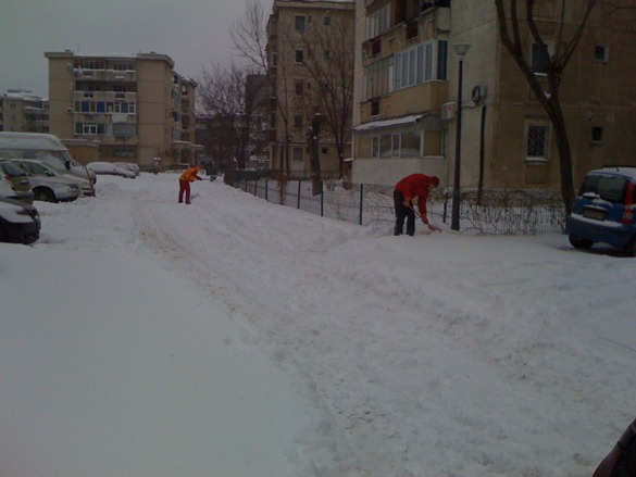 IMG_0224 IMG_0224