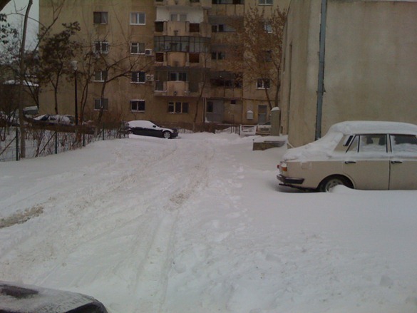 IMG_0225 IMG_0225