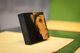 DSC_7951 DSC_7951