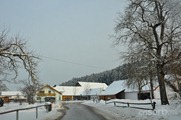 DSC_9665 DSC_9665