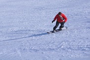 DSC_9797 DSC_9797