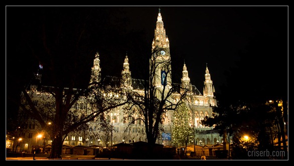 sarbatori-viena-01