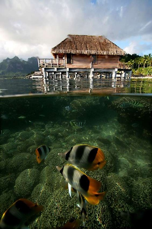 Bora_05 Bora_05
