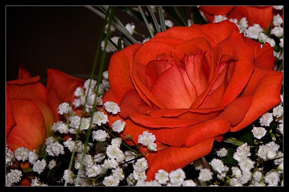 sala-nunta-04 sala-nunta-04