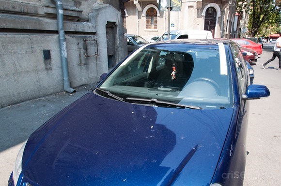 DSC_6319 DSC_6319