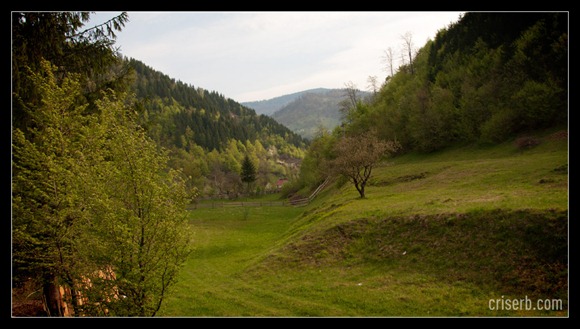 mocanita-de-la-viseu-03