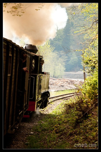 mocanita-de-la-viseu-04